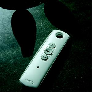 Télécommande 1 canal Telis RTS Pure