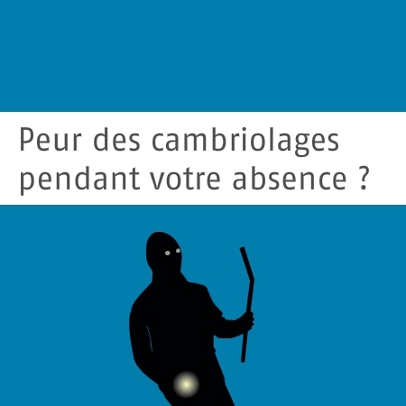 picto flash domotique voleur