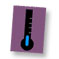 picto flash temperature