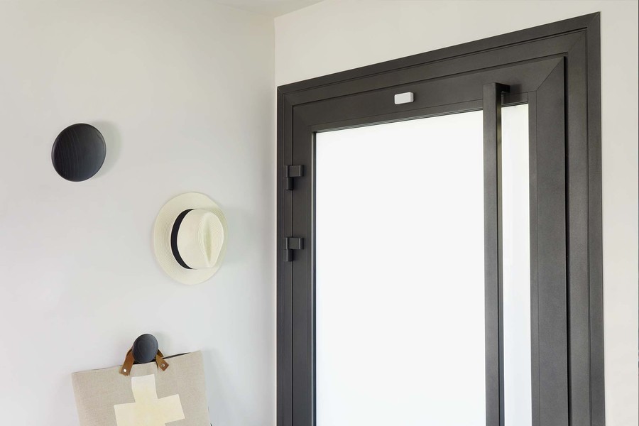 Détecteur anti intrusion Somfy 