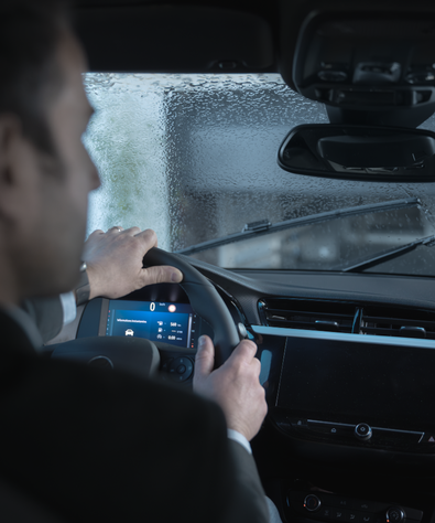 Controle garage assistant vocal Somfy