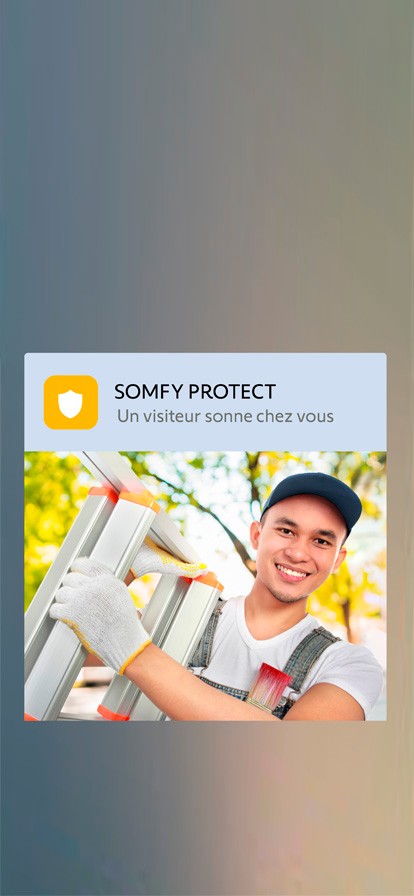 SOMFY 1871229 - Visiophone V350 Connect, Interphone connecté